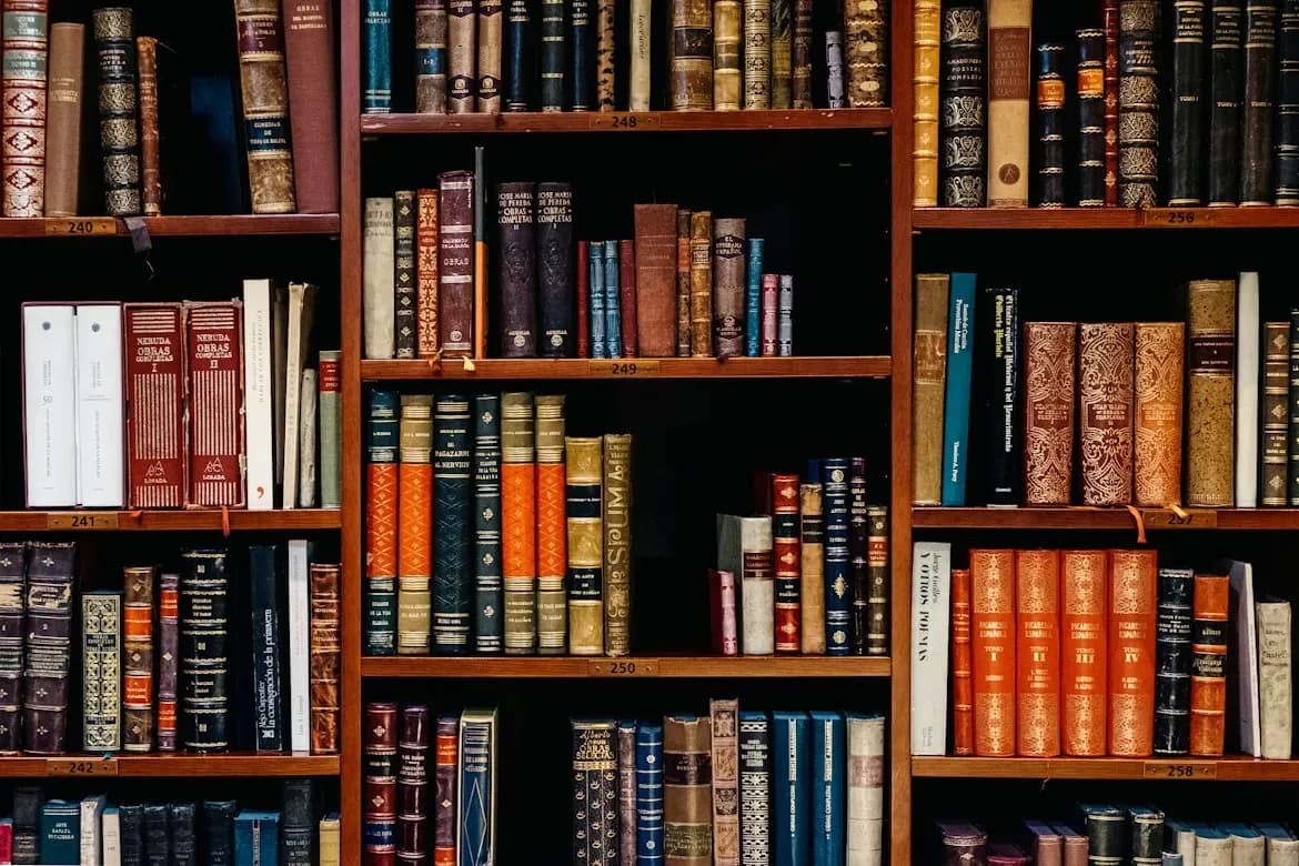 Estante com vários livros organizados em prateleiras de madeira