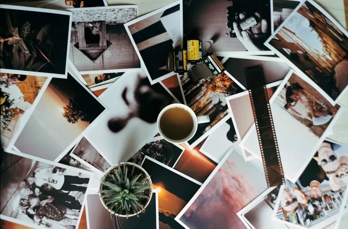 Várias fotos reveladas agrupadas numa colagem